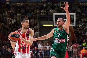 (SP)SERBIA-BELGRADE-EUROLEAGUE-BASKETBALL-CRVENA ZVEZDA VS PANATHINAIKOS