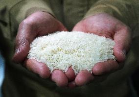 CHINA-JIANGXI-NANCHANG-RICE-PLANTING-PROCESSING (CN)
