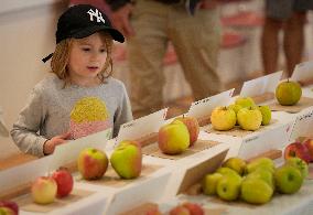 CANADA-VANCOUVER-UBC-APPLE FESTIVAL