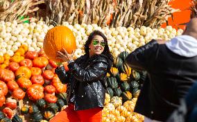 CANADA-TORONTO-PUMPKINVILLE