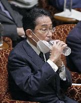 Japan PM Kishida in parliament