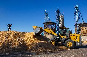 CHINA-INNER MONGOLIA-TONGLIAO-CORN-HARVEST (CN)
