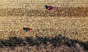 CHINA-INNER MONGOLIA-TONGLIAO-CORN-HARVEST (CN)