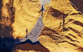 CHINA-INNER MONGOLIA-TONGLIAO-CORN-HARVEST (CN)