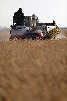 CHINA-LIAONING-SHENYANG-PADDY RICE-HARVEST (CN)