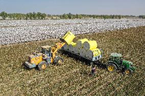 CHINA-XINJIANG-COTTON-HARVEST-MACHINERY (CN)