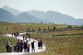 CHINA-SHAANXI-QINLING-AUTUMN