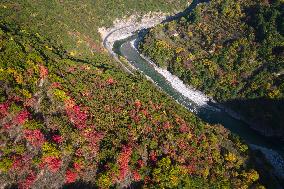 CHINA-SHAANXI-QINLING-AUTUMN