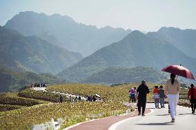 CHINA-SHAANXI-QINLING-AUTUMN