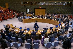 UN-SECURITY COUNCIL-HAITI-SANCTIONS
