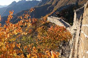 CHINA-BEIJING-GREAT WALL-MUTIANYU (CN)