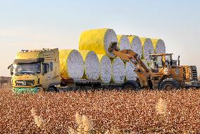 CHINA-XINJIANG-COTTON-HARVEST (CN)