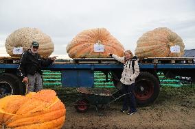 BELGIUM-KASTERLEE-PUMPKIN REGATTA