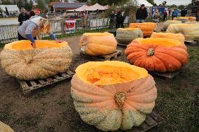 BELGIUM-KASTERLEE-PUMPKIN REGATTA