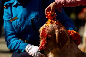 NEPAL-KATHMANDU-TIHAR-DOG WORSHIP