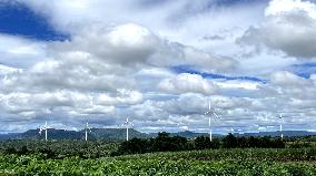 THAILAND-CHAIYAPHUM-WIND TURBINES-GREEN TRANSFORMATION