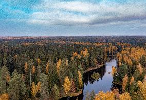 LATVIA-AUTUMN-SCENERY