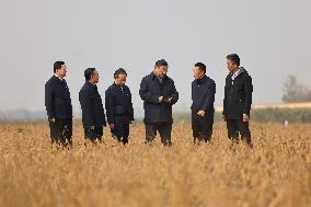 Profile: Xi Jinping leads China on new journey