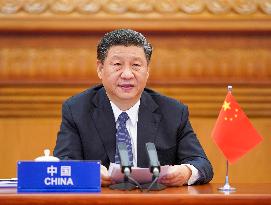 Profile: Xi Jinping leads China on new journey