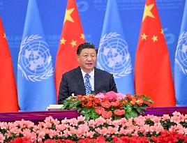 Profile: Xi Jinping leads China on new journey