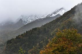 Mt. Daisen covered with season's 1st snow