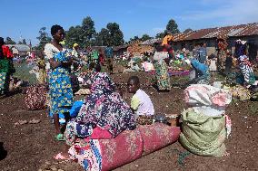 UGANDA-KISORO-DRC-BORDER