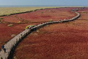 CHINA-LIAONING-LIAOHE DELTA (CN)