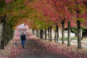 CANADA-VANCOUVER-AUTUMN SCENERY