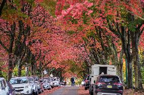 CANADA-VANCOUVER-AUTUMN SCENERY