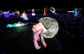 FRANCE-THOIRY ZOO-LIGHT FESTIVAL