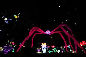 FRANCE-THOIRY ZOO-LIGHT FESTIVAL