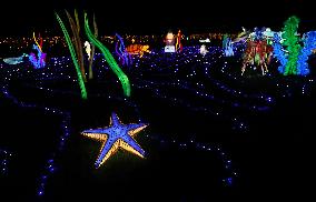 FRANCE-THOIRY ZOO-LIGHT FESTIVAL