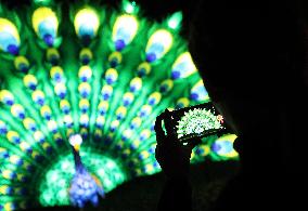 FRANCE-THOIRY ZOO-LIGHT FESTIVAL