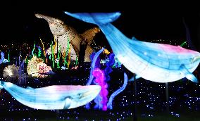 FRANCE-THOIRY ZOO-LIGHT FESTIVAL