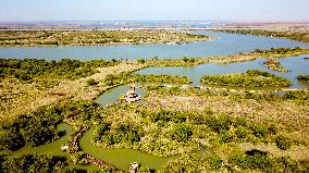 CHINA-SHANDONG-YELLOW RIVER DELTA WETLAND-SCENERY (CN)