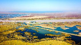 CHINA-SHANDONG-YELLOW RIVER DELTA WETLAND-SCENERY (CN)
