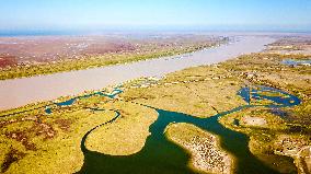 CHINA-SHANDONG-YELLOW RIVER DELTA WETLAND-SCENERY (CN)