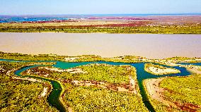 CHINA-SHANDONG-YELLOW RIVER DELTA WETLAND-SCENERY (CN)