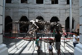 SINGAPORE-TYRANNOSAURUS REX-EXHIBITION