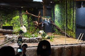 JAPAN-TOKYO-CHINA-GIANT PANDAS-ARRIVAL-ANNIVERSARY