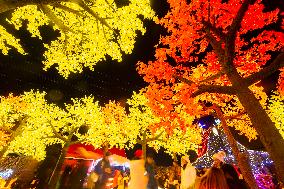 CANADA-MISSISSAUGA-LIGHT SHOW