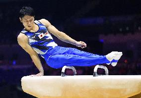 Artistic gymnastics: world championships