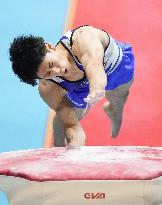 Artistic gymnastics: world championships