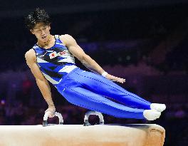 Artistic gymnastics: world championships