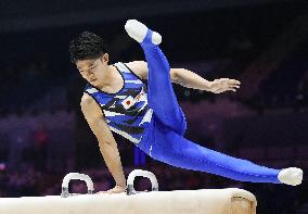 Artistic gymnastics: world championships