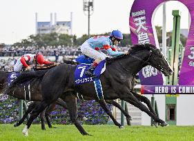 Horse racing: Equinox wins autumn Tenno-sho