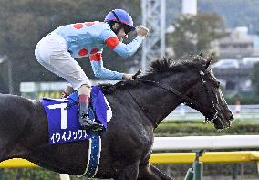 Horse racing: Equinox wins autumn Tenno-sho