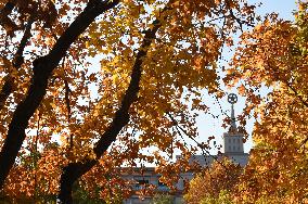 CHINA-BEIJING-AUTUMN-SCENERY (CN)