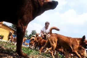 INDONESIA-SERANG-DOG SHELTER