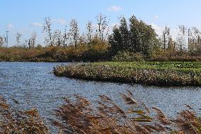 THE NETHERLANDS-ENVIRONMENT-BIESBOSCH NATIONAL PARK